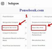 Cara Menghapus Akun Instagram Yang Lupa Password